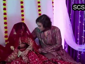 Super hot n cute desi married getting fucked by hubby